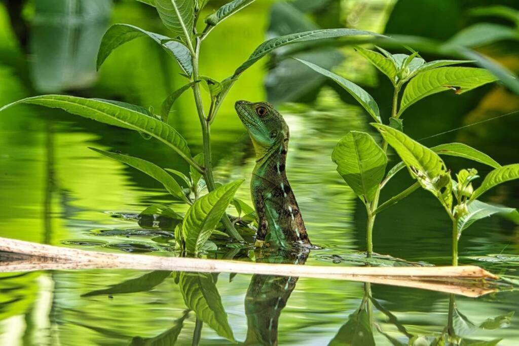 Into The Greens Madre de Dios 외부 사진